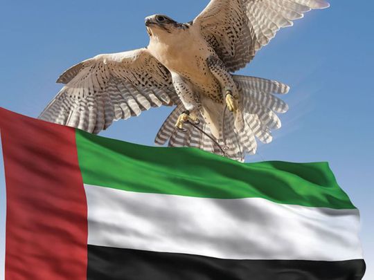 COVID-19: UAE residents sang the national anthem