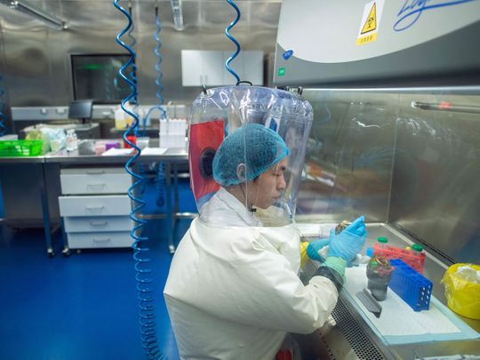 COVID-19: Director of Wuhan lab denies virus link | Asia – Gulf News