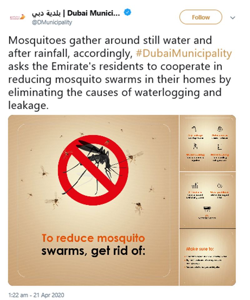 Staying home to fight coronavirus? Help Dubai Municipality fight