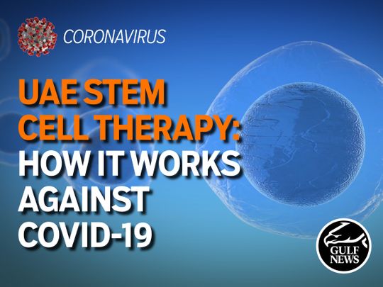 UAE Stem Cell Therapy: How It Works Against COVID-19 | News-video ...