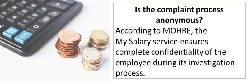 My Salary MOHRE late salary complaint