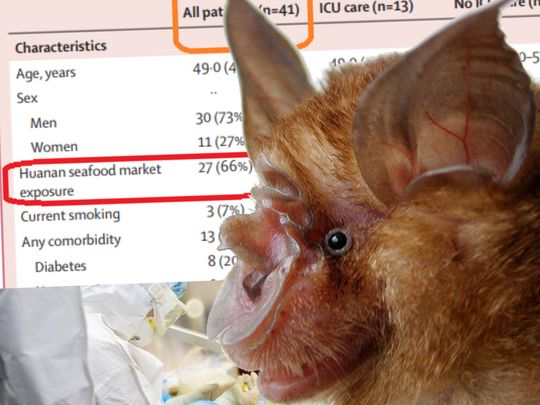 BATS teaser corovirus research