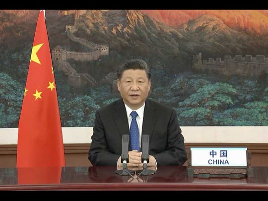 World Health Organization Chinese President Xi Jinping