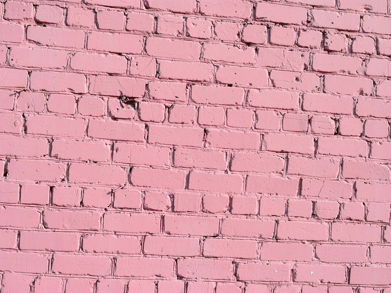 89 Background Pink Zoom For FREE - MyWeb
