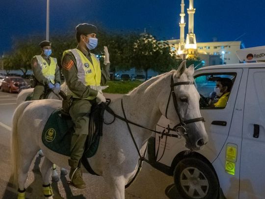 Dubai Mounted Police 