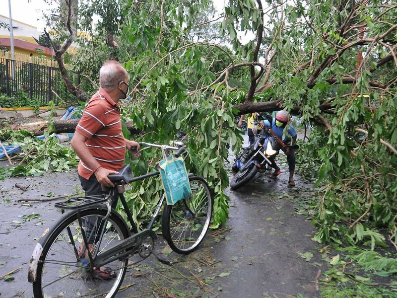 Commuters try to pass under an uprooted tree on a road, in the aftermath of super cyclone 'Amphan', in Kolkata