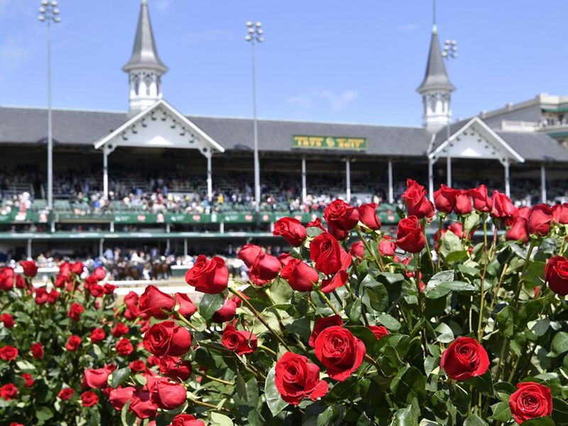 The Kentucky Derby is affectionately known as 'the Run for the Roses'.