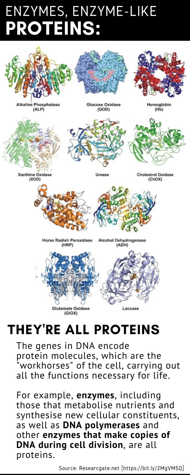 Theyre all proteins