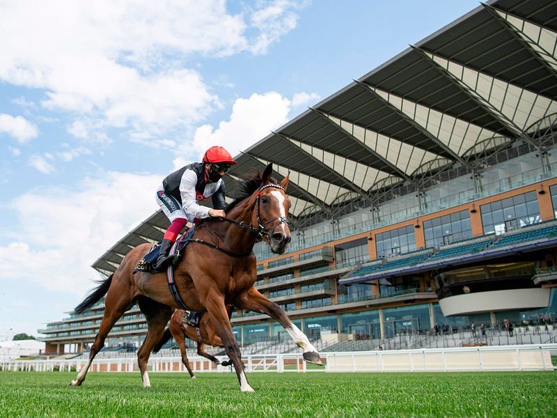  Frankly Darling brought up a landmarth half century of Royal Ascot wins for top handler John Gosden uwhen winning the Group 2 Ribblesdale Staks under a typically consumate ride by Frankie Dettori.