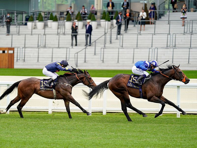  Jim Crowley got Dubai’s challenge off to a sensational start when 14/1 chance Motakhayyel comfortably won the opening Nuckingham Palace Handicap over seven furlongs, from Jack’s Point and Mutamaasik.