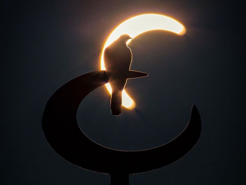 Solar eclipse Dubai: @jruzz