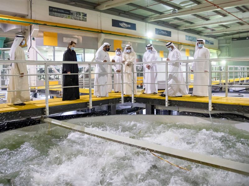 Sheikh Mohammed visits fish farm
