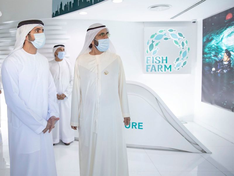 Sheikh Mohammed visits fish farm
