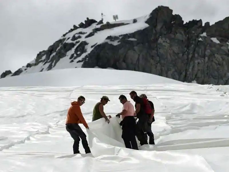 the Presena glacier 