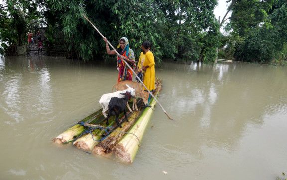 Photos: Assam flood situation worsens, 253,000 people affected | News-photos - Gulf News