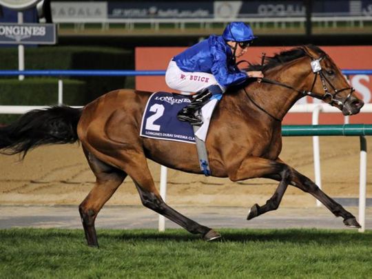 Old Persian runs in the Grand Prix de Saint-Cloud over 2,400 metres in France on Sunday Picture Godolphin website