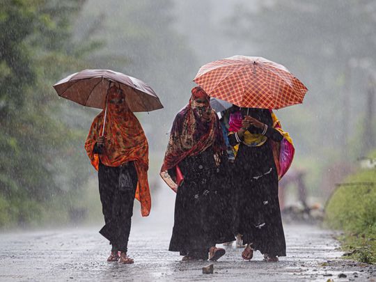 Photos: Southwest monsoon covers entire India earlier than usual, brightens crop prospects - Gulf News