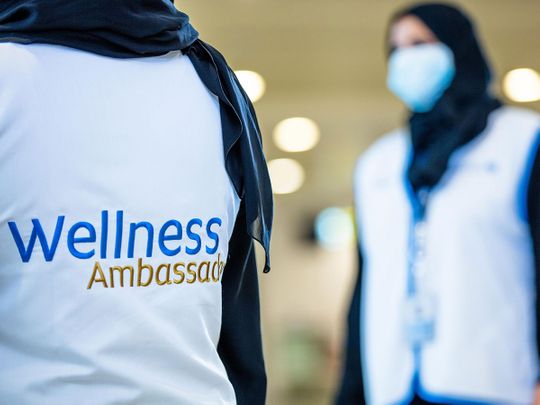 Wellness ambassadors