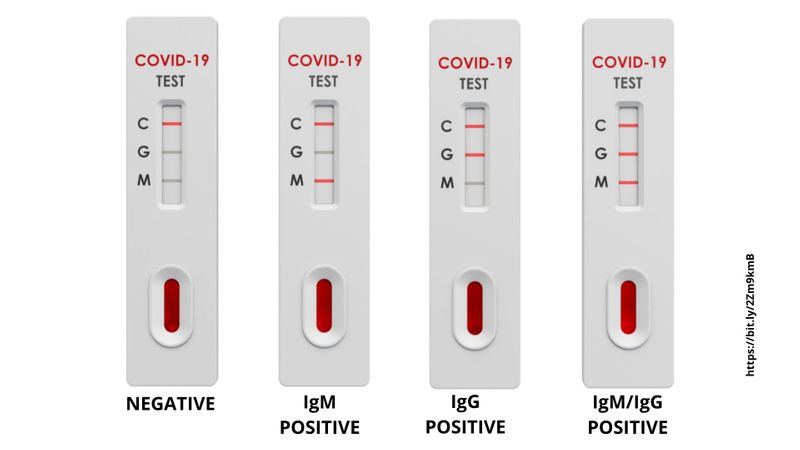 rapid antibody test