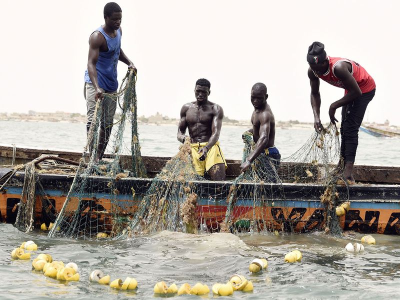Senegal: Fishermen become protectors of sea turtles | News-photos – Gulf  News