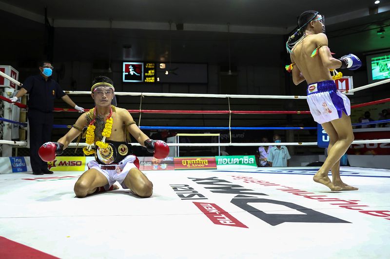 Thai boxing gallery