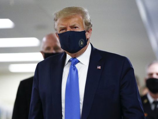Trump Mask