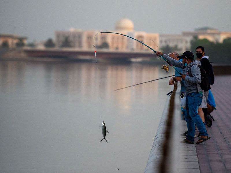 Dubai Fishing