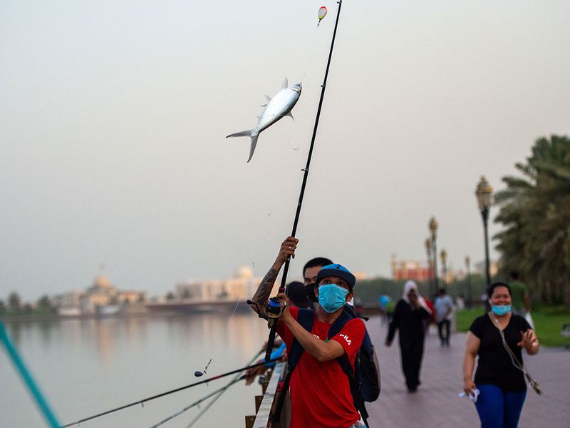 UAE Fishing