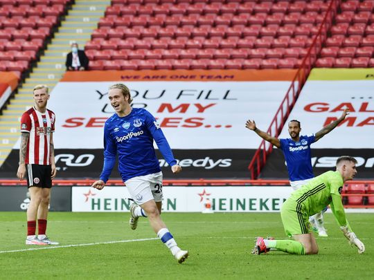 Everton celebrate Richarlison's goal against Sheffield