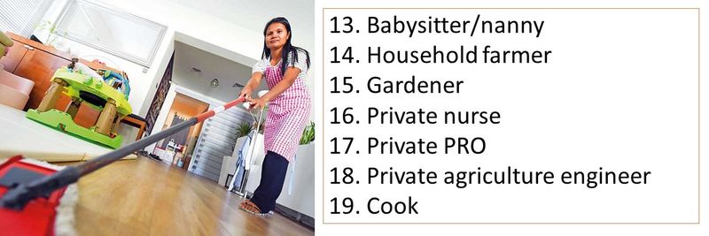 13. Babysitter/nanny 14. Household farmer 15. Gardener 16. Private nurse 17. Private PRO 18. Private agriculture engineer 19. Cook