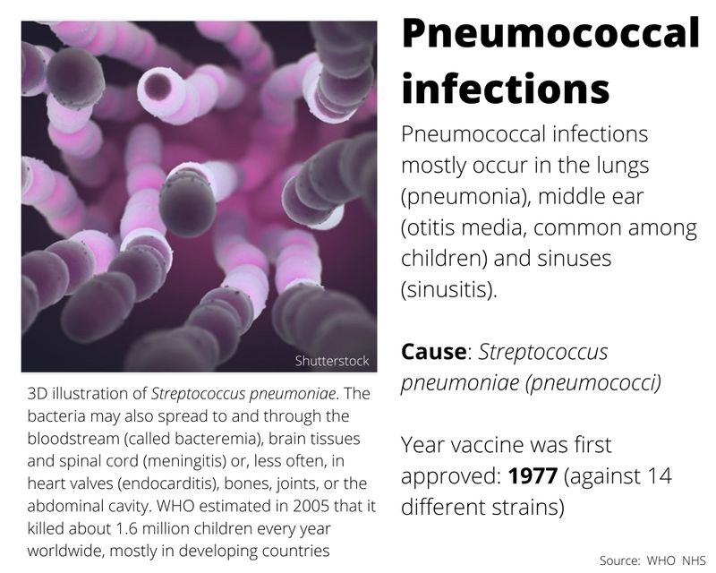 Pheumococcal infections 
