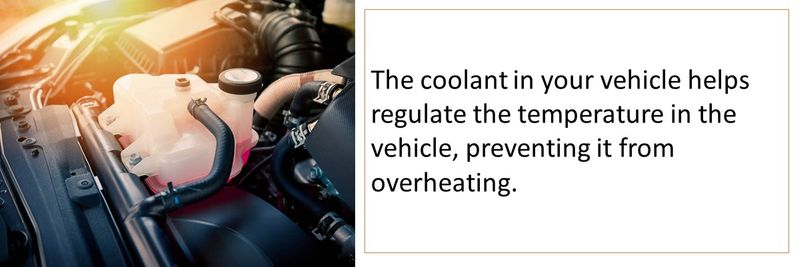 The coolant in your vehicle helps regulate the temperature in the vehicle, preventing it from overheating.