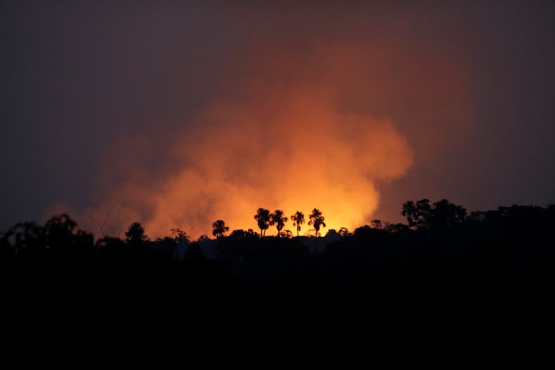 Copy of 2020-08-10T011307Z_1322173089_RC2PAI90PQUL_RTRMADP_3_BRAZIL-ENVIRONMENT-WILDFIRES-1597140049552