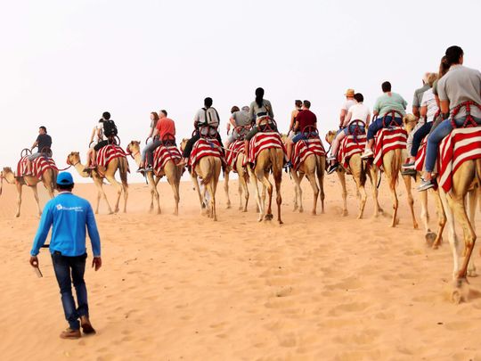 NAT 200815 Camel Ride OceanAir Travels (5)-1597481614737