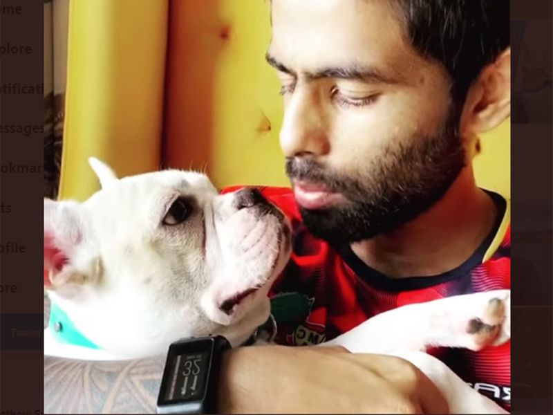 Mumbai Indians' Surya Kumar Yadav showed he has a perfect pet