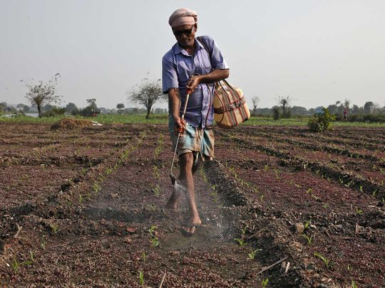 India farmer pesticide Kolkata