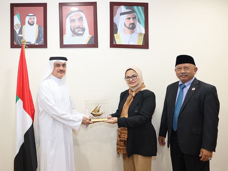 UAE and Indonesia to forge closer ties for cooperation in ...