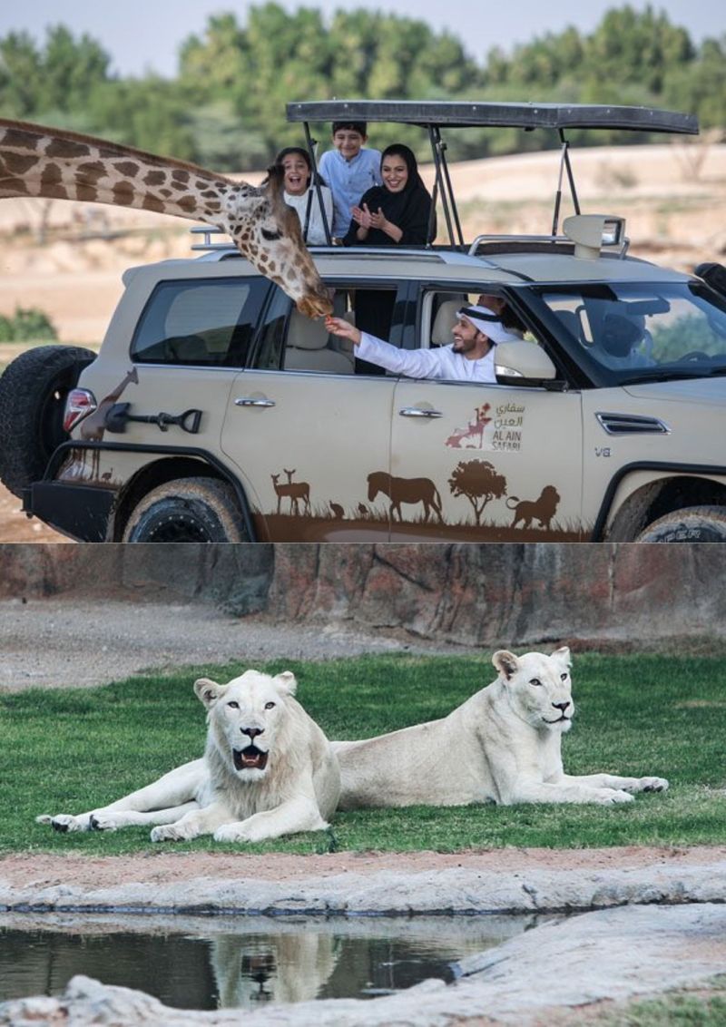 Al Ain zoo
