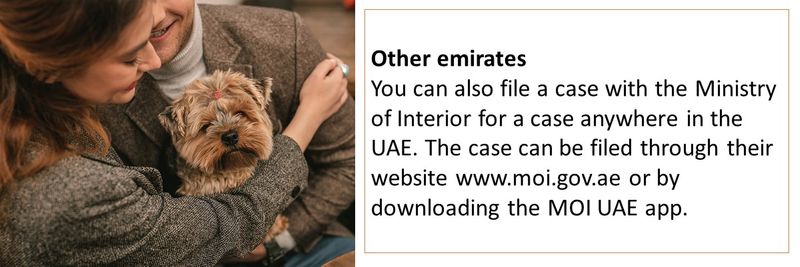 If you lose an items in the UAE, here is how you can report it to the Ministry of Interior