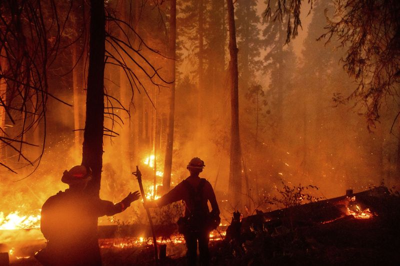 Copy of California_Wildfires_75452.jpg-0bc29-1599542339026