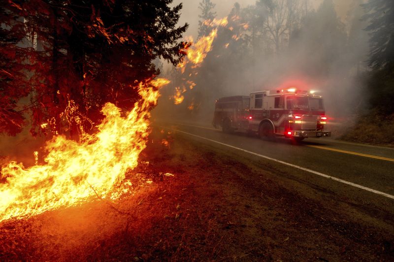 Copy of California_Wildfires_84932.jpg-e5331-1599542334297