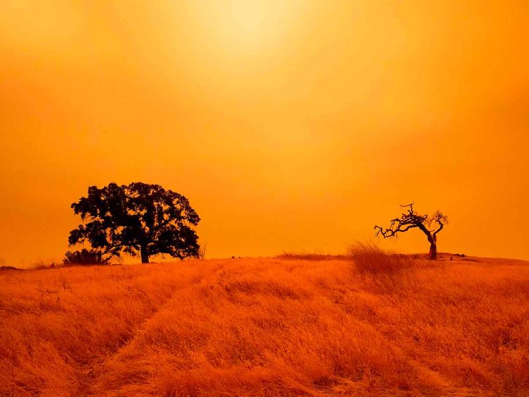 Giants, Athletics play under ominous orange sky amid California wildfires