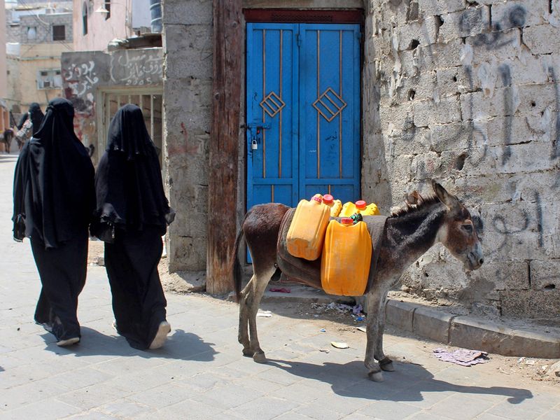 Yemen donkey trade gallery