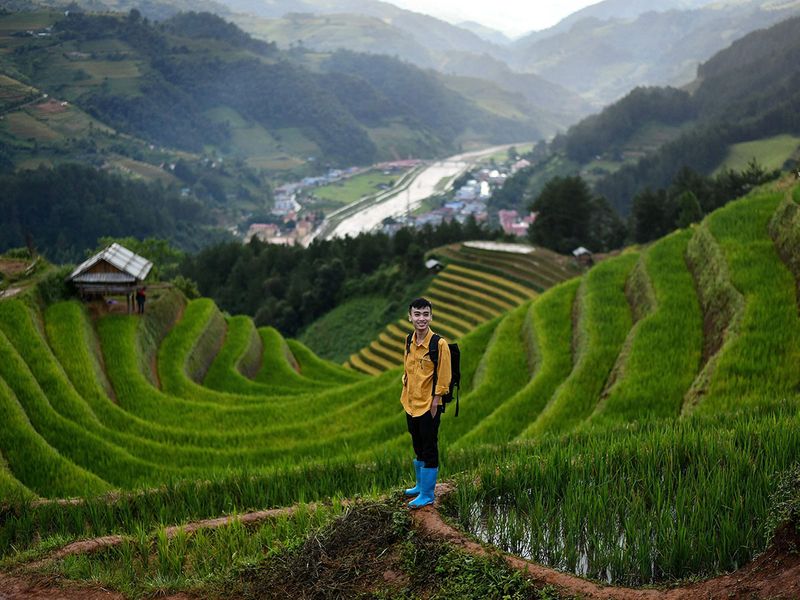 Vietnam rice fields gallery 