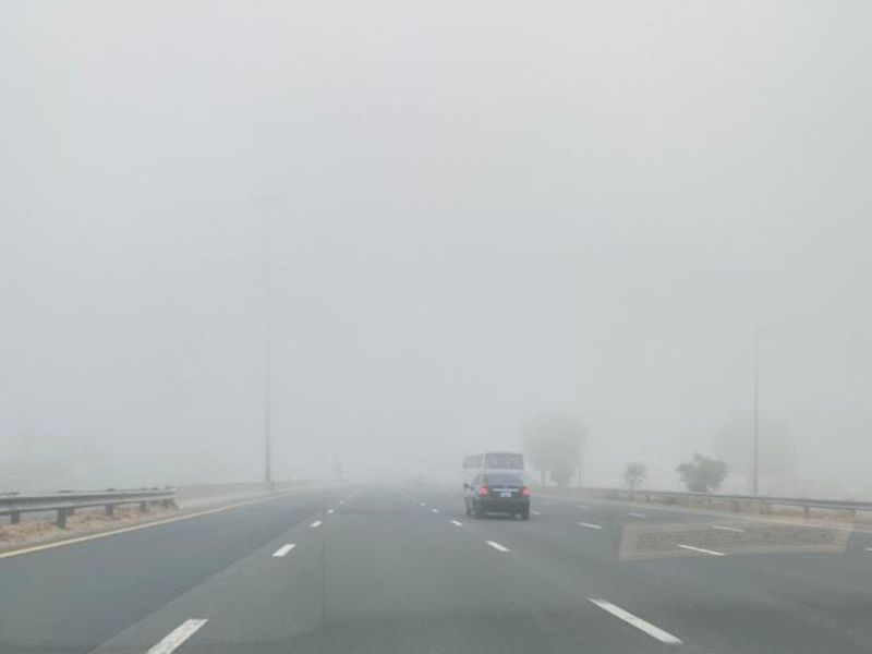 reader picture fog weather