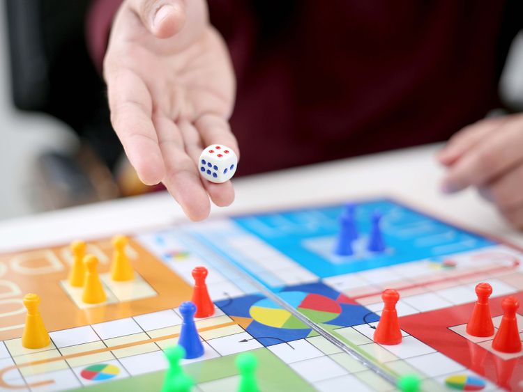 Bombay High Court To Decide If Ludo Is A Game Of Luck Or Skill