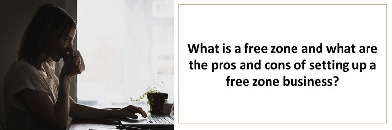 What is a free zone and what are the pros and cons of setting up a free zone business?