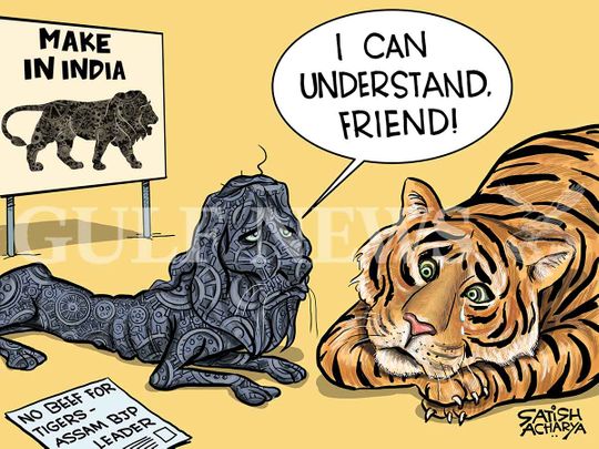 Cartoon from Satish: Calls for stopping beef to tigers in India ...