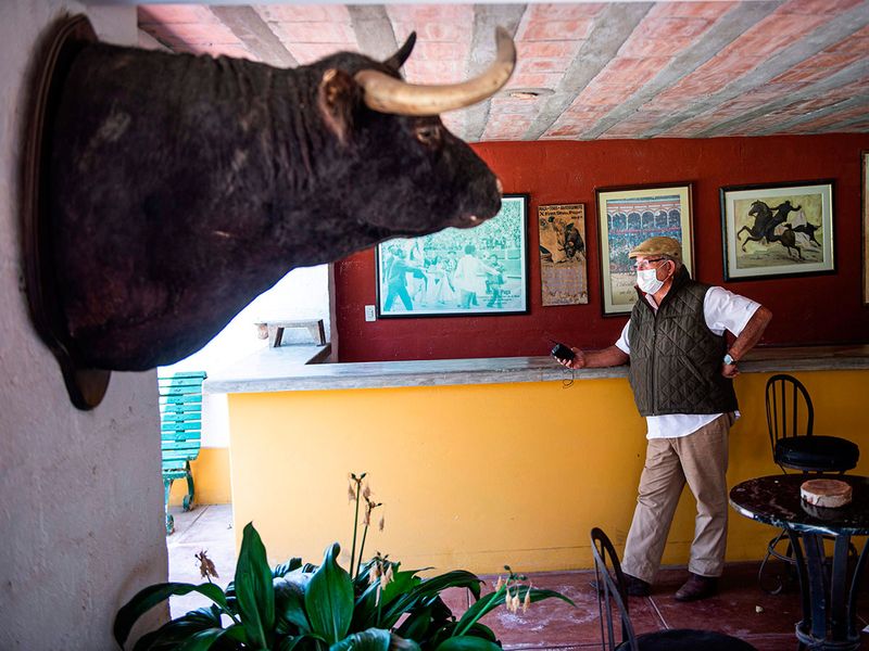 bullfighting gallery 