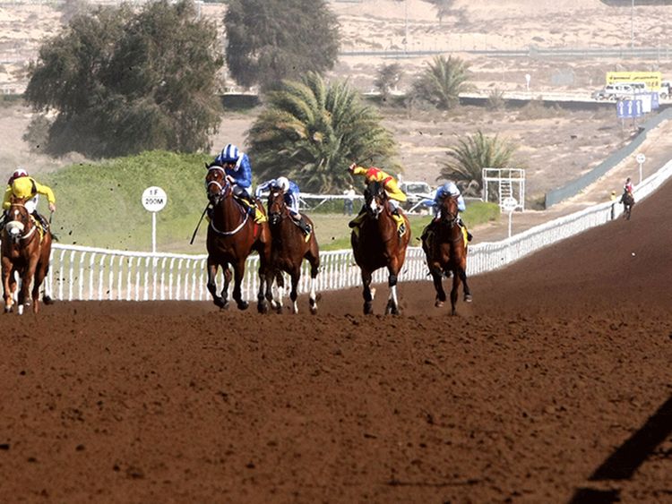 Jebel Ali Racecourse to usher in new racing season on Friday | Horse